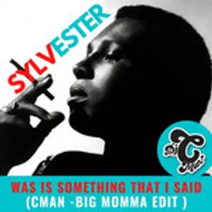 Sylvester - Was It Something That i Said (CMAN Big Momma Edit)