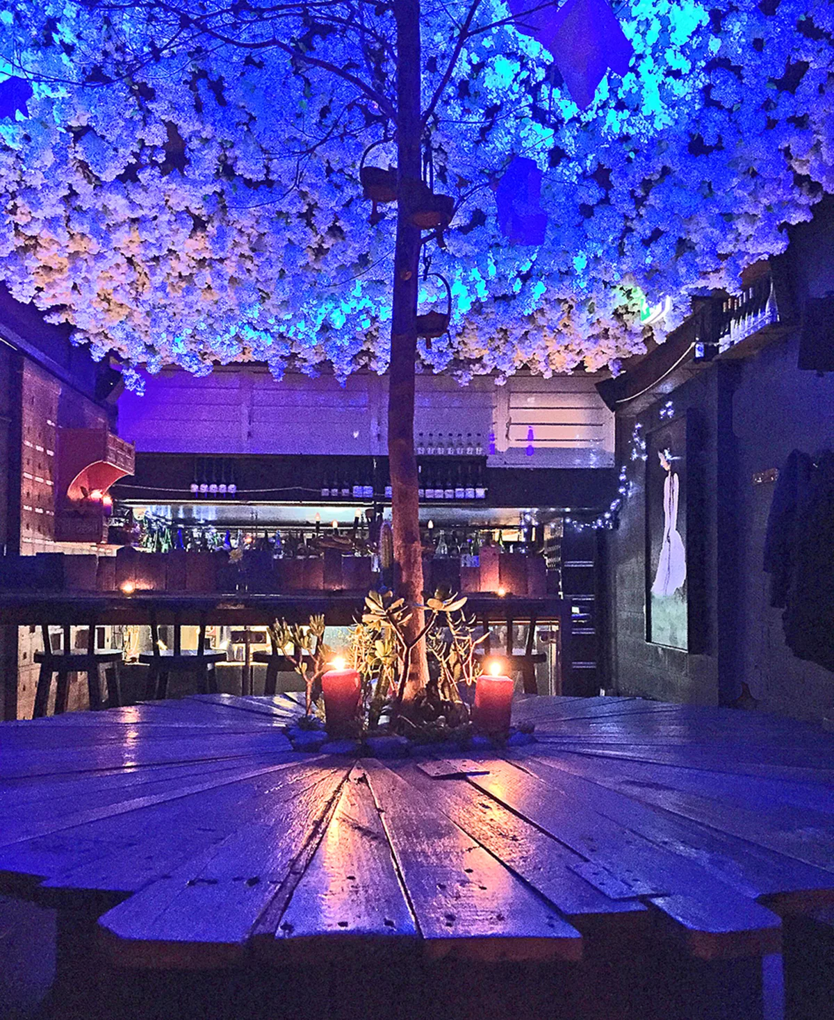 A venue interior lit blue with blossom overhead