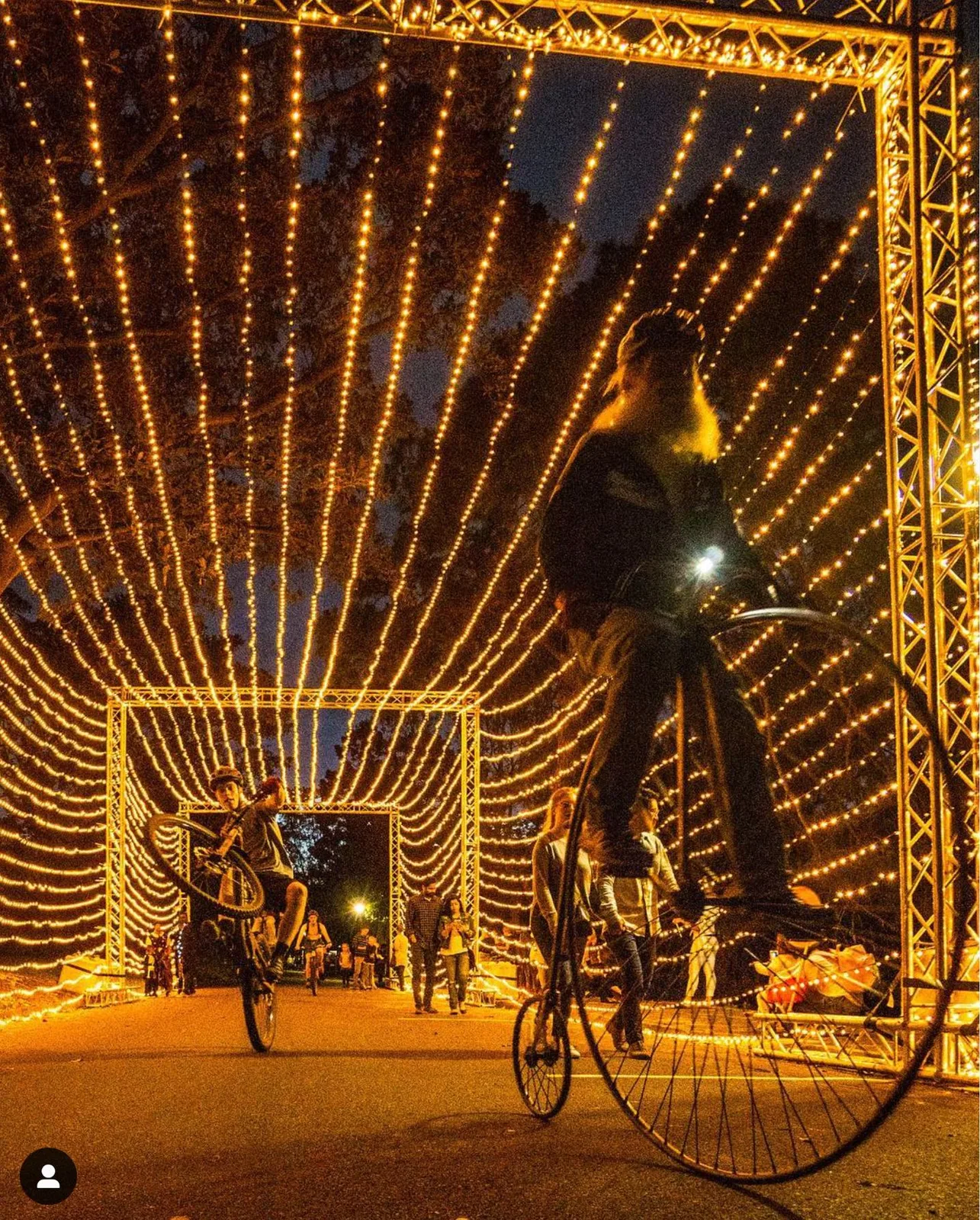 An illuminated tunnel installation lit up at night